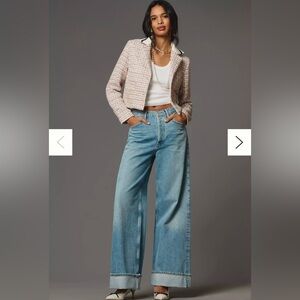 AGOLDE Dame High-Rise Wide-Leg Jeans | size 25 | Color: SHOWNDOWN